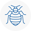 Bed Bug Extermination In Nantwich